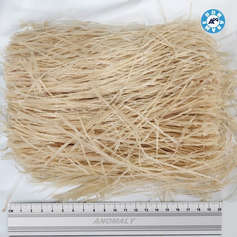 강원마트 더해담,아라메 오징어실채(미절)10kg